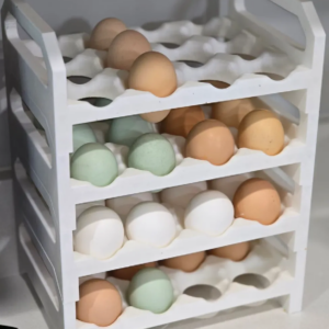 Stackable Dozen Egg Tray